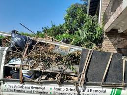 Best Recycling Services for Junk  in Jacksonville, AL