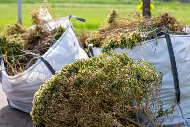 Best Hoarding Cleanup  in Jacksonville, AL